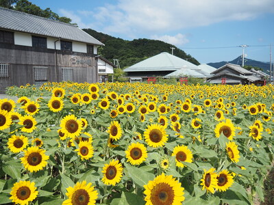 P8100470.JPGのサムネール画像